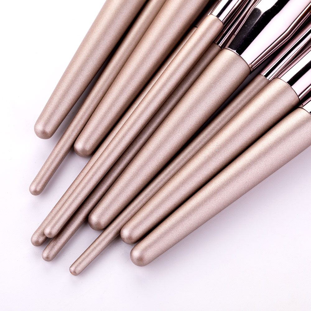 Nanotechnology in Bristle Coatings: Antimicrobial Silver-Ion Treatment for Hygienic Makeup Brushes-2