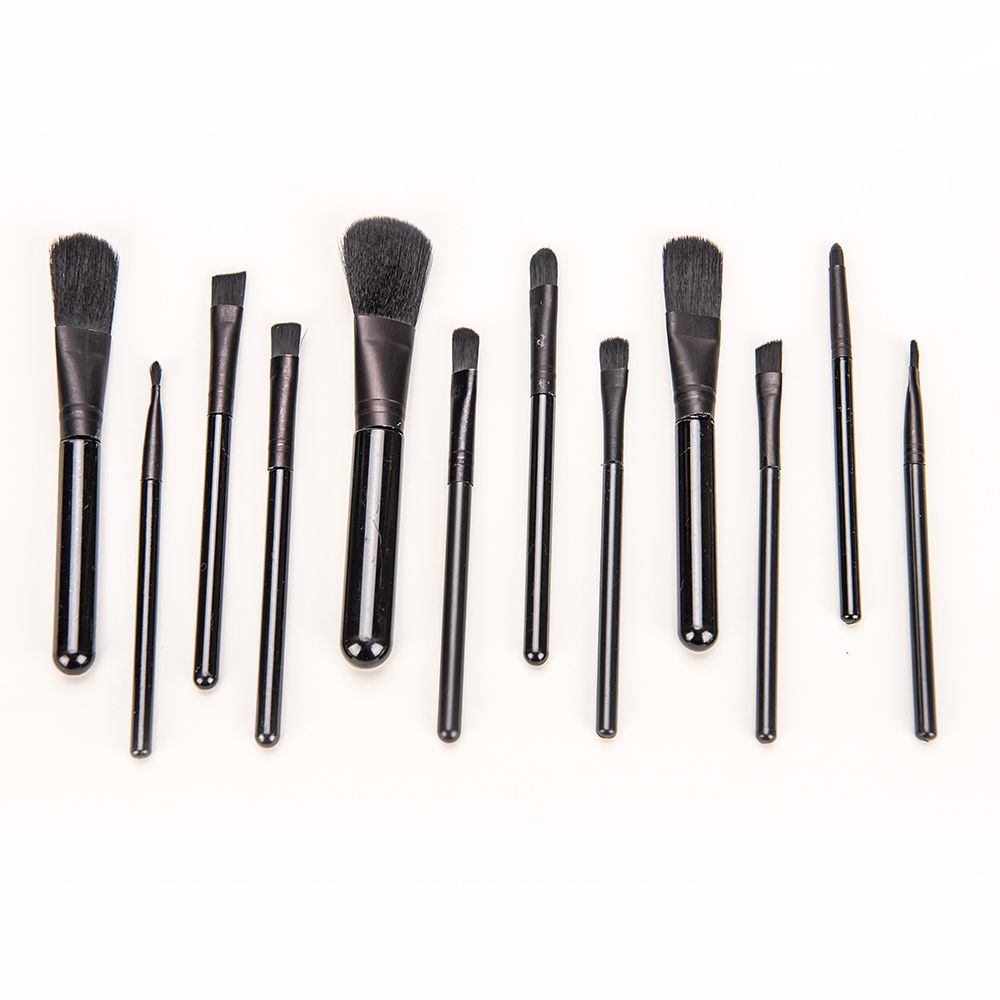 European Brush Brands Highlight 